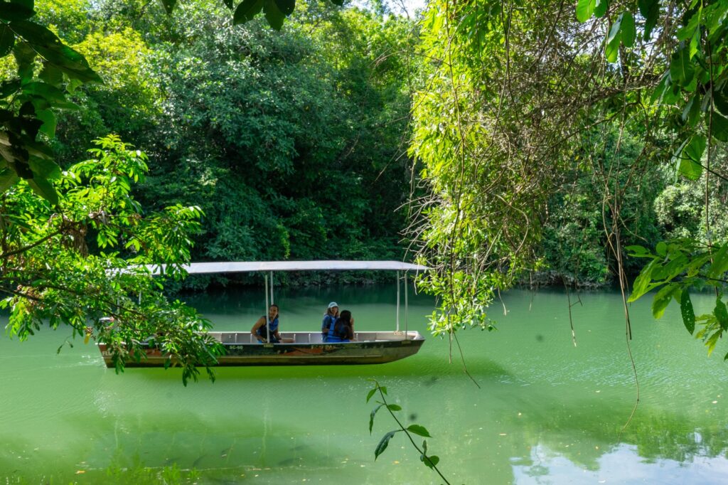 Natureza Que Transforma: Descubra os Benefícios dos Passeios do Eco Park Porto da Ilha Natureza Que Transforma: Descubra os Benefícios dos Passeios do Eco Park Porto da Ilha